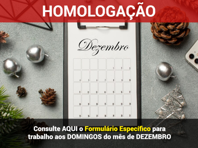 Formulário para trabalho aos DOMINGOS do mês de DEZEMBRO